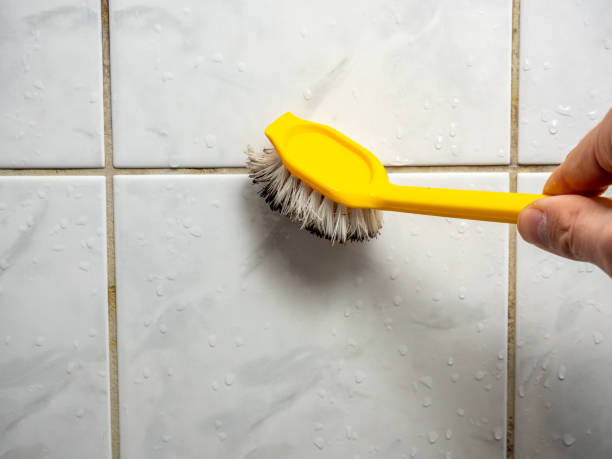 Best Emergency Mold Removal  in Camano, WA