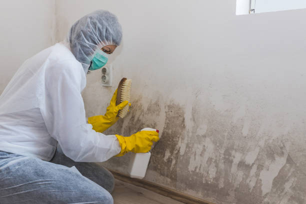 Best Crawl Space Mold Removal  in Camano, WA