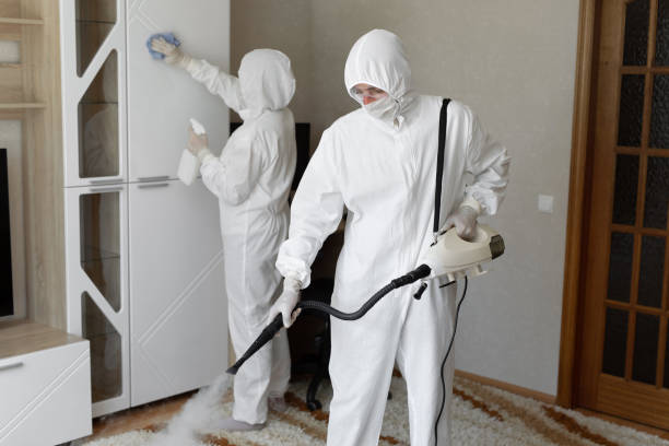Attic Mold Removal in Camano, WA