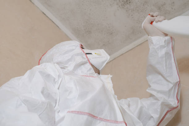 Best Toxic Mold Removal  in Camano, WA